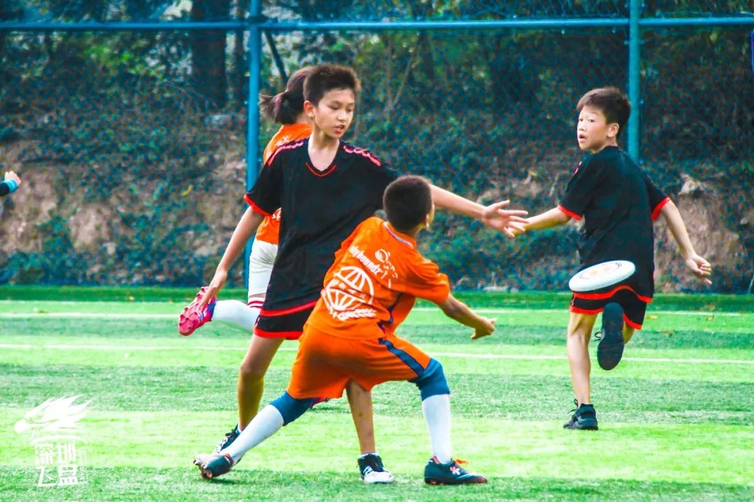 南山区第十届中小学生飞盘争夺赛圆满结束